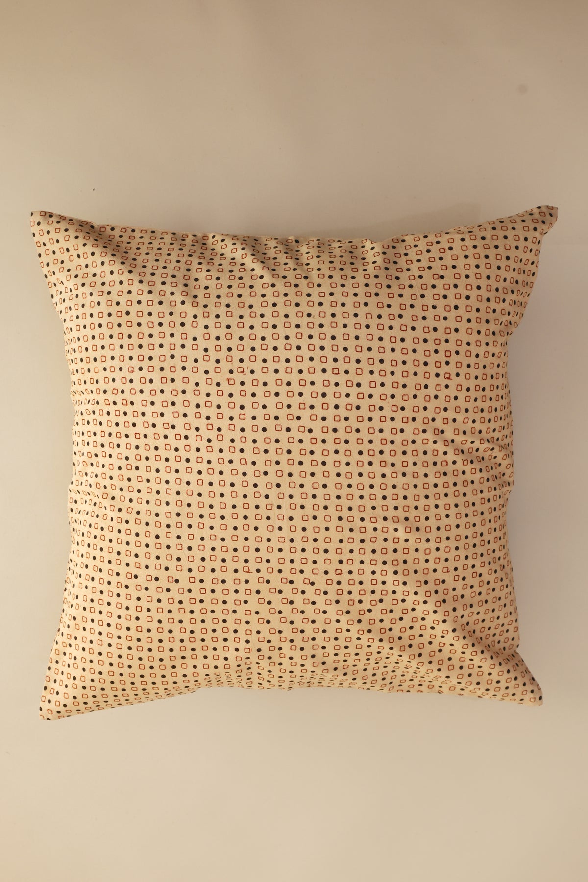 Soft Field Kalamkari Pillow